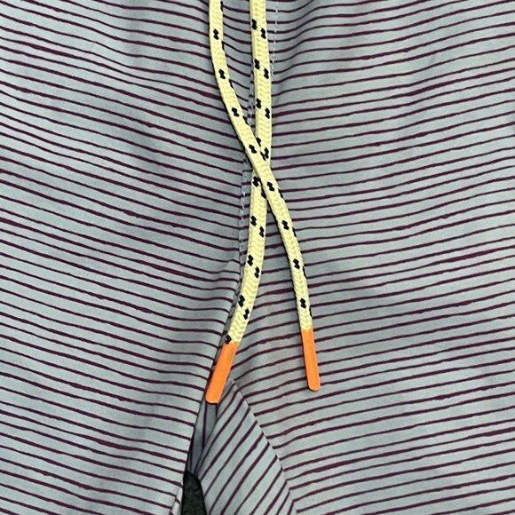 Psycho Bunny Mens Lucas Swim Shorts Blue Purple Stripe Sz M Unlined 6" Inseam - Picture 4 of 8